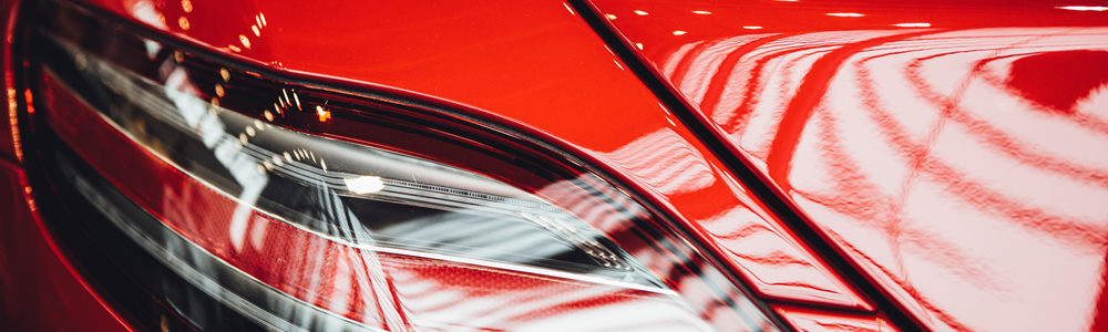 DLOUHODOBÉ OCHRANY LAKŮ